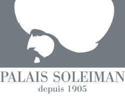Palais Soleiman